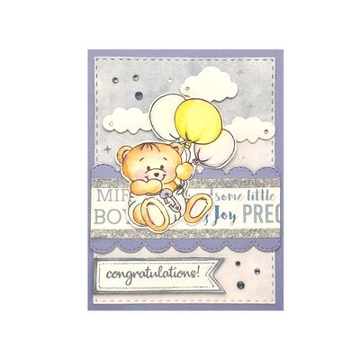 Congratulations Baby Bear