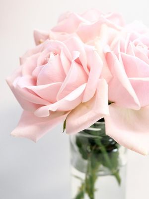 Get Well Wishes