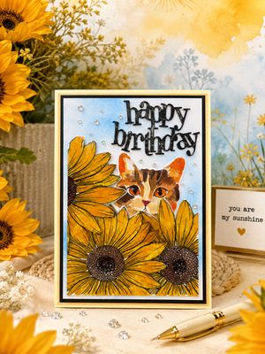 Little Cat loves Sunflowers