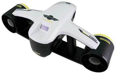 Sea Scooters