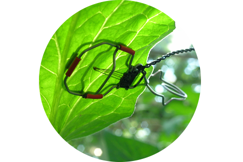 Sensor de temperatura de hoja Agronic
