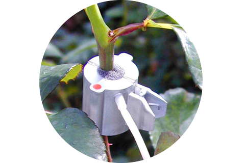 Sensor de flujo de savia Agronic