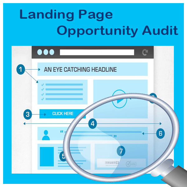 Landing Page Opportunity Audit