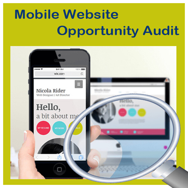 Mobile Website Opportunity Audit