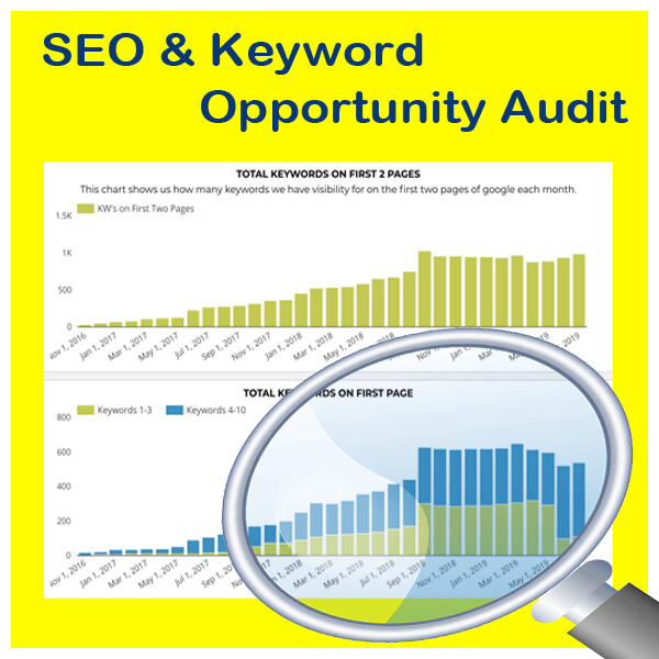 SEO & Keyword Opportunity Audit