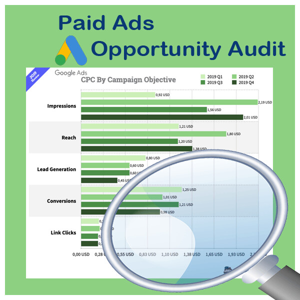 Paid Search Opportunity Audit