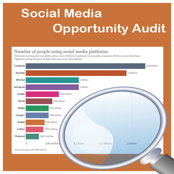 Social Media Opportunity Audit