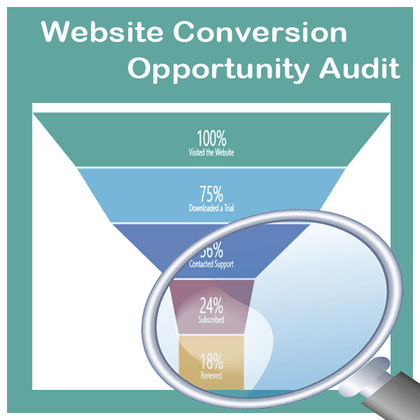 Website Conversion Opportunity Audit