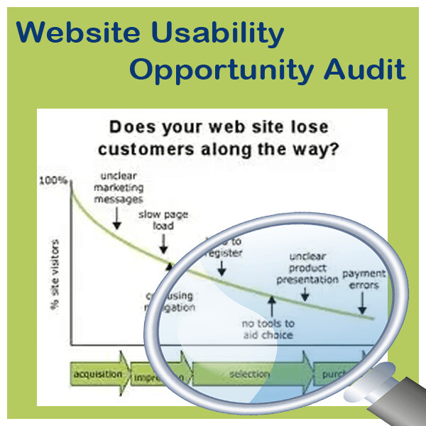 Usability Opportunity Audit
