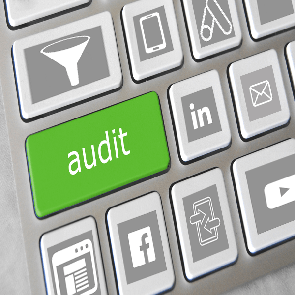 Single Audits