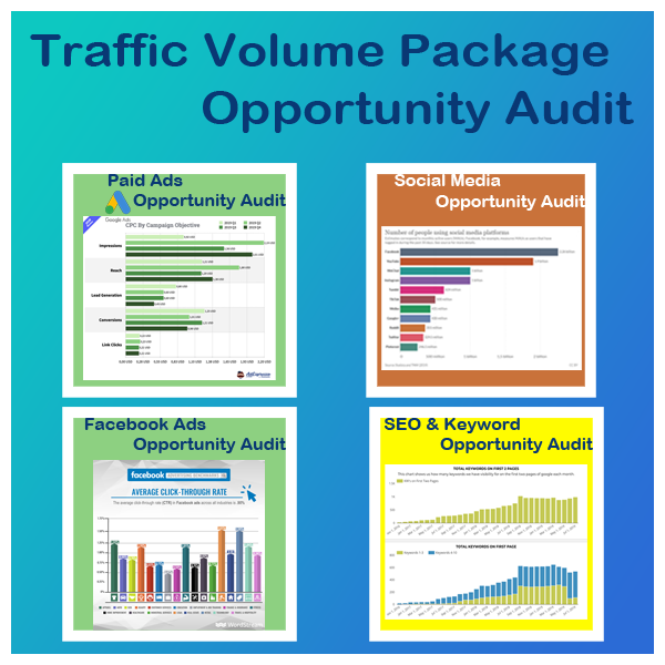 Traffic Volume Opportunity Audit