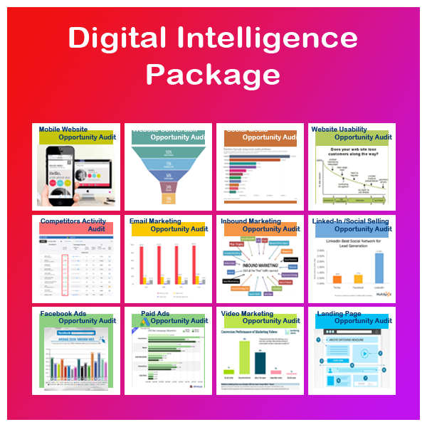 Digital Intelligence
