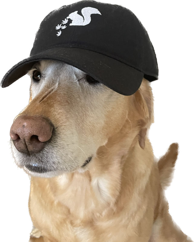 Numb Nuts® "Squirrel Bae" Dad Hat - Black