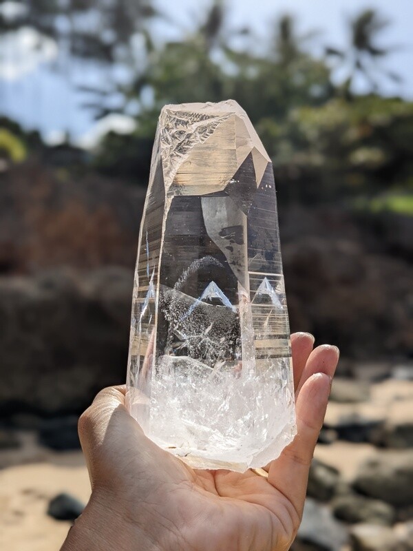 Optical Lemurian Special