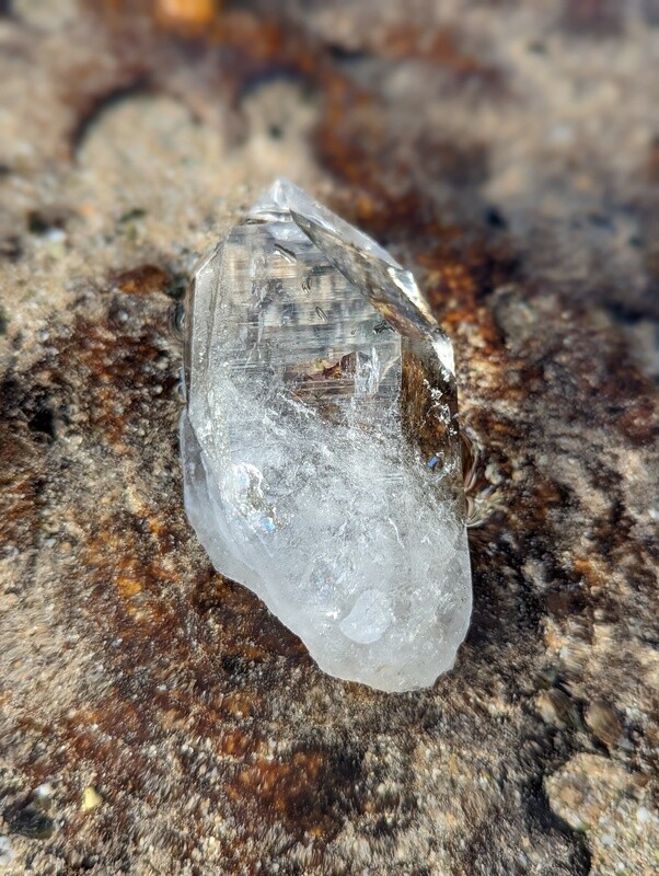Optical Lemurian