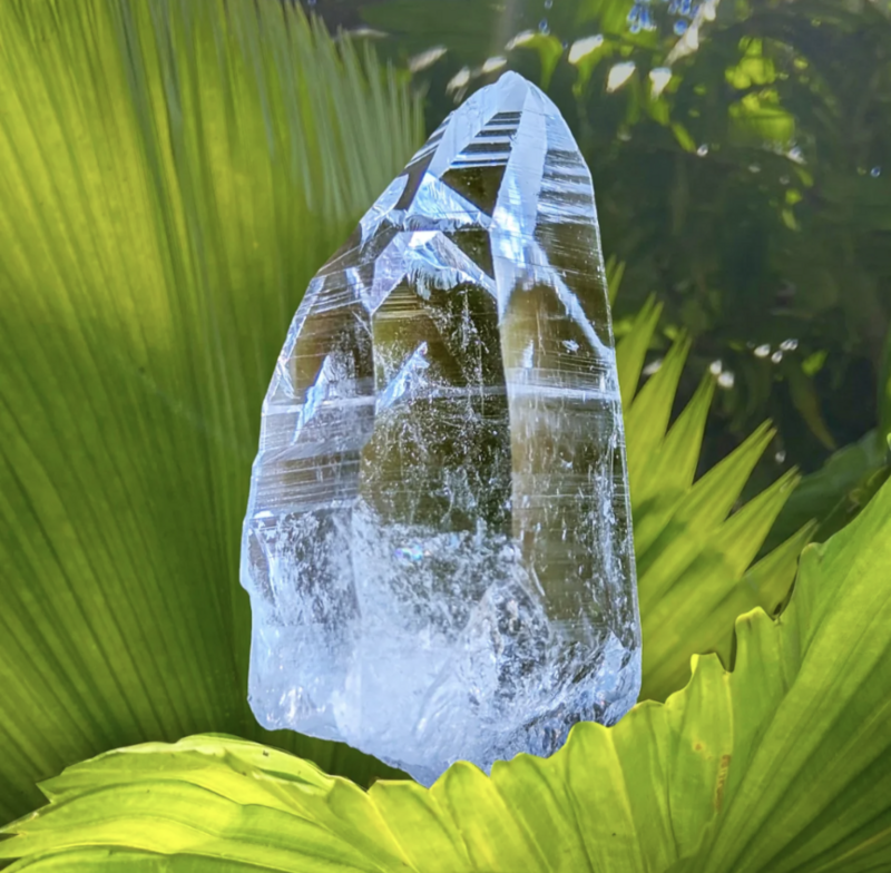 Optical Lemurian