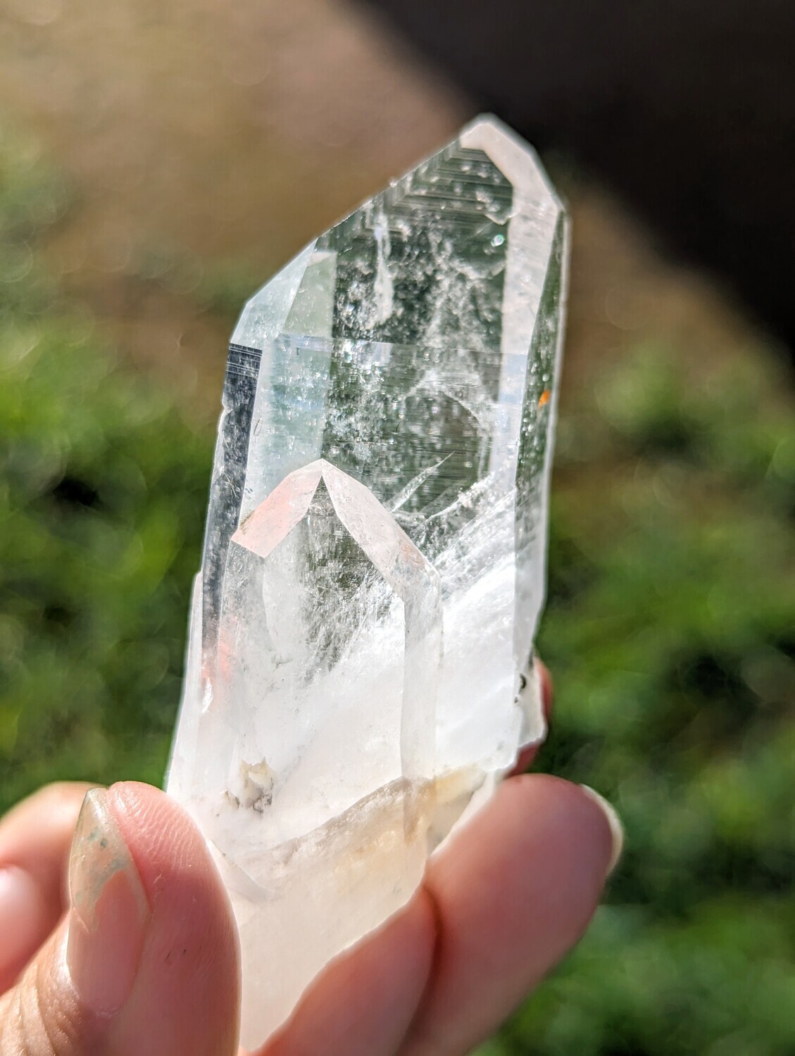 Optical Lemurian Special