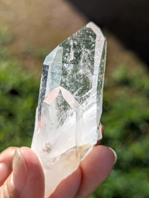 Optical Lemurian Special