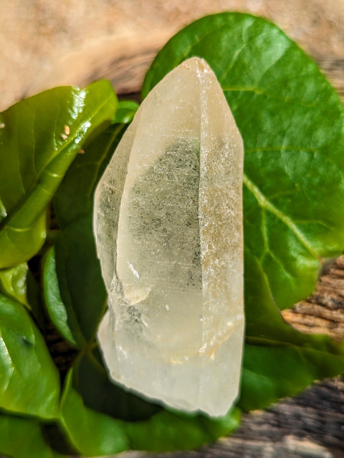 Golden Healer