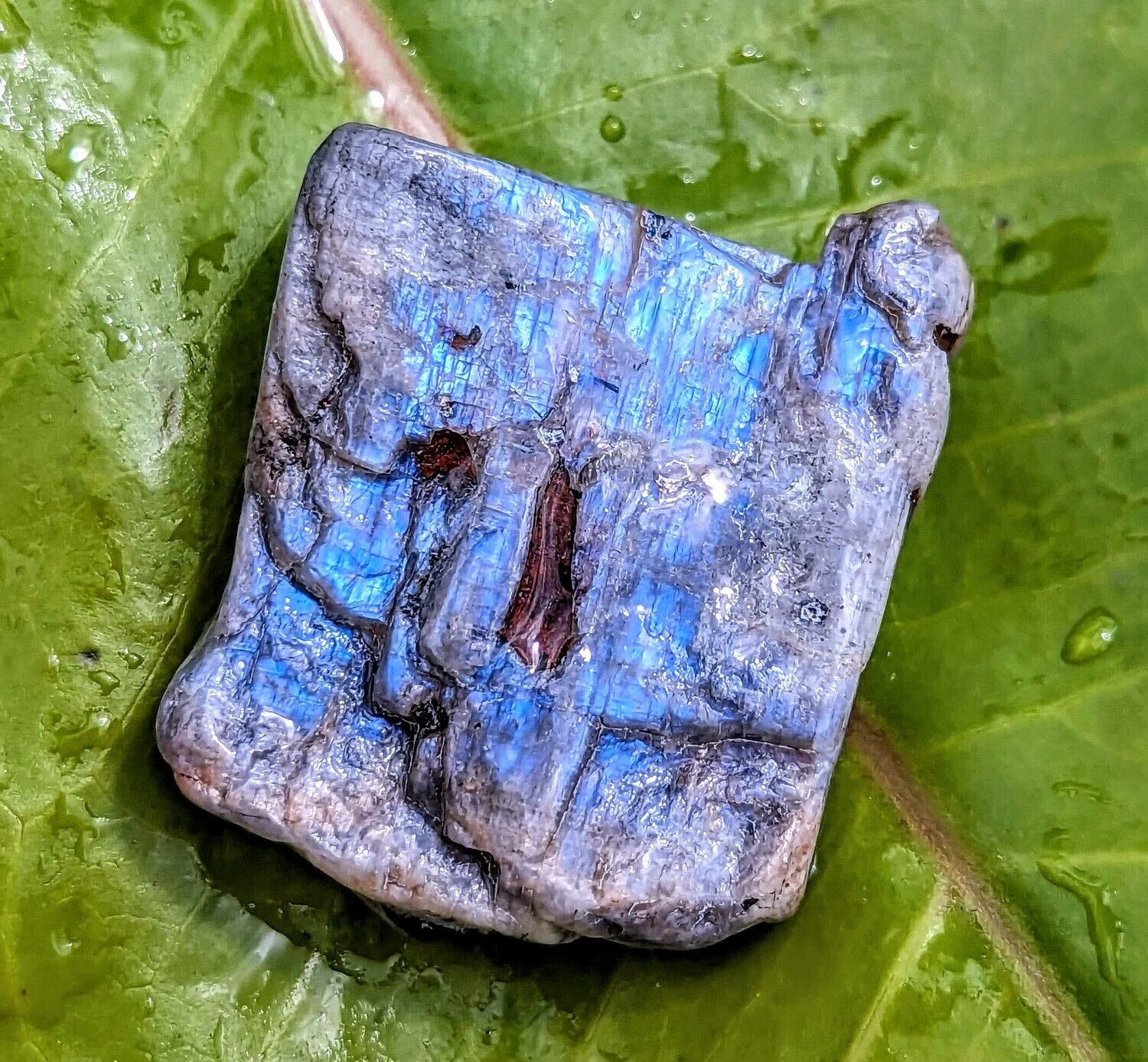 Wisconsin Moonstone ice melt