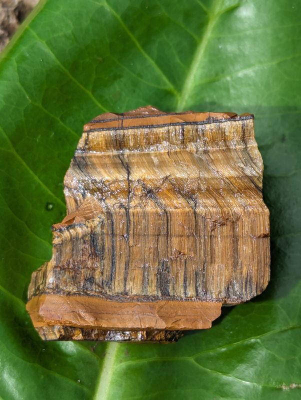 Tiger Eye