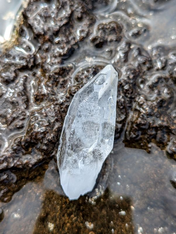 Lemurian