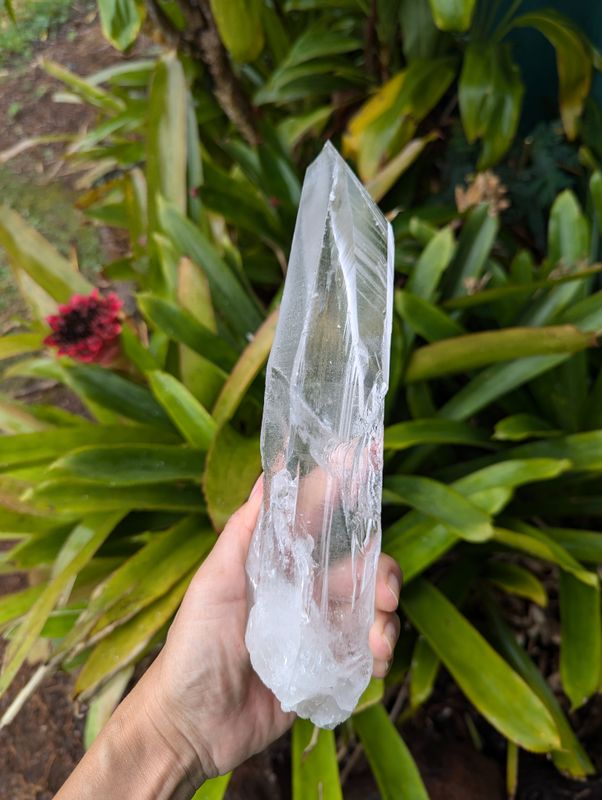Lemurian Special