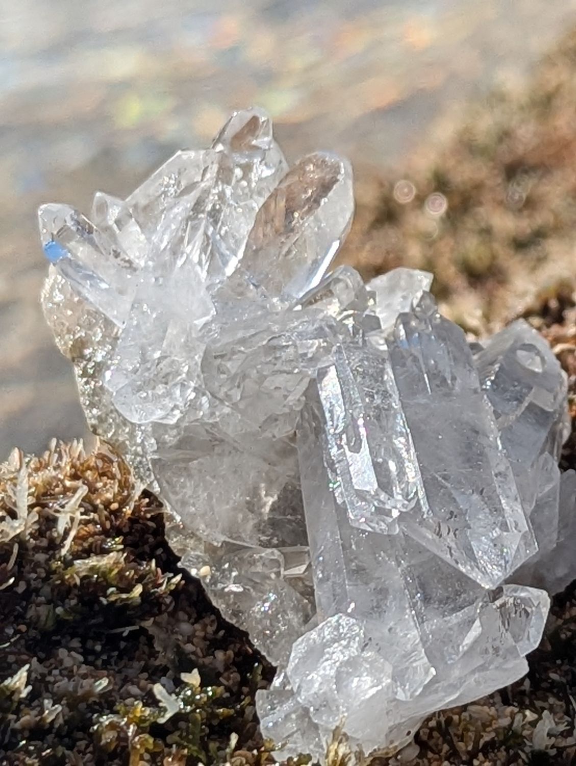 Lemurian Cluster