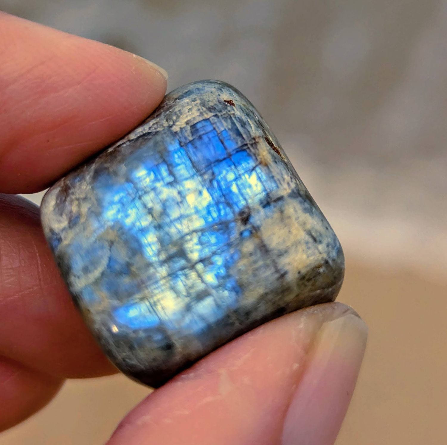 Wisconsin Moonstone Flash Gold