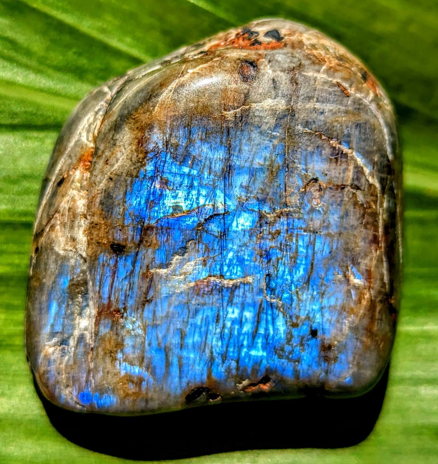 Wisconsin Moonstone Flash Gold