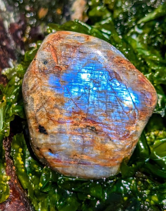 Wisconsin Moonstone Flash SP