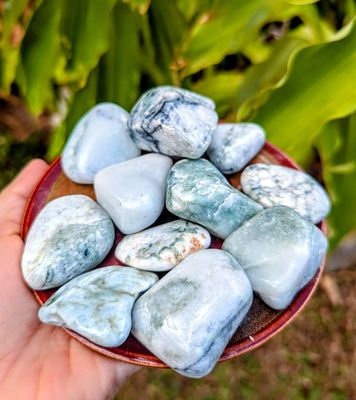 Hill's Mineral Japan