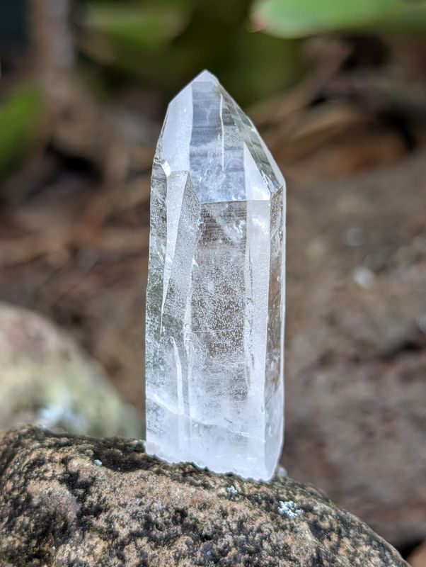 Lemurian (BLACK FRIDAY SP)