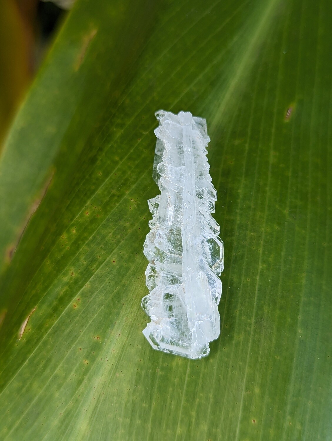 Faden Quartz