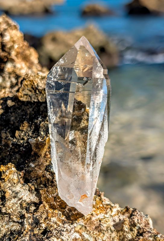 Arkansas Lemurian Seed