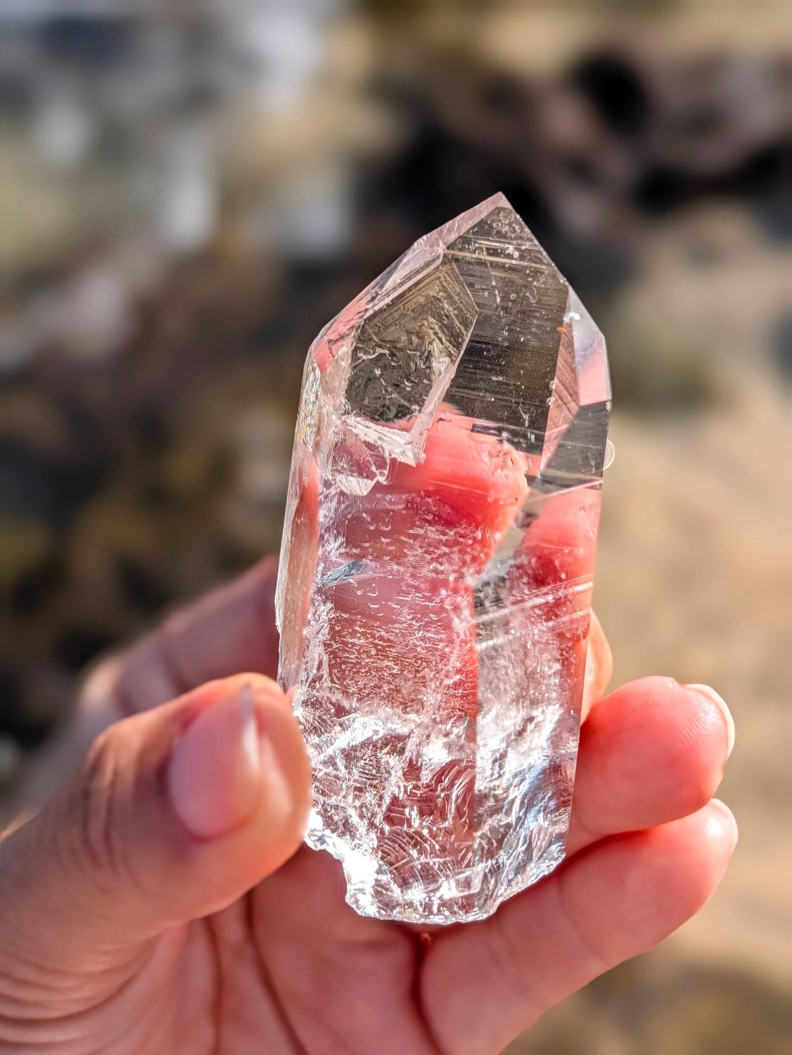 Arkansas Lemurian Seed