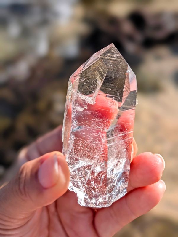 Arkansas Lemurian Seed