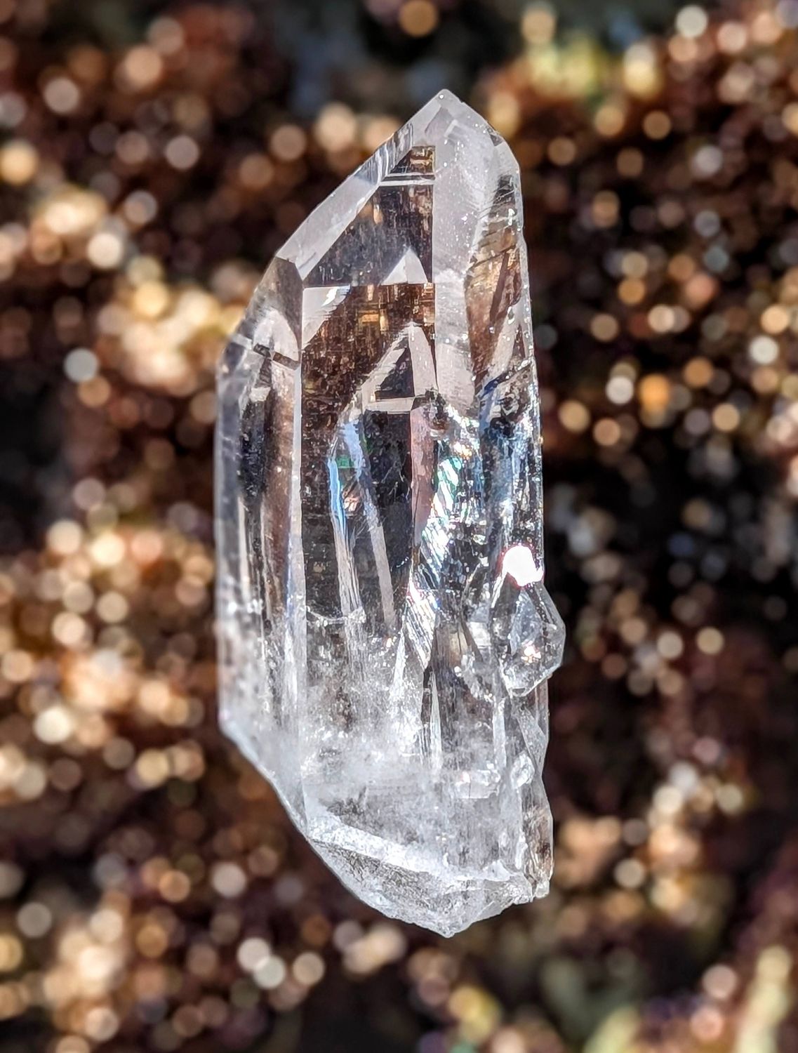 Arkansas Lemurian Seed
