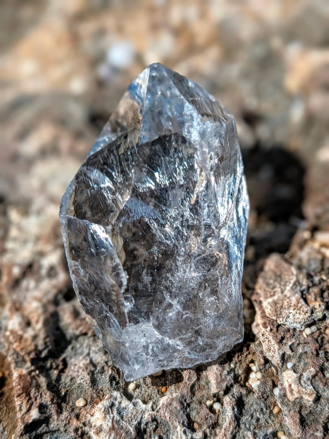 Arkansas Lemurian Seed