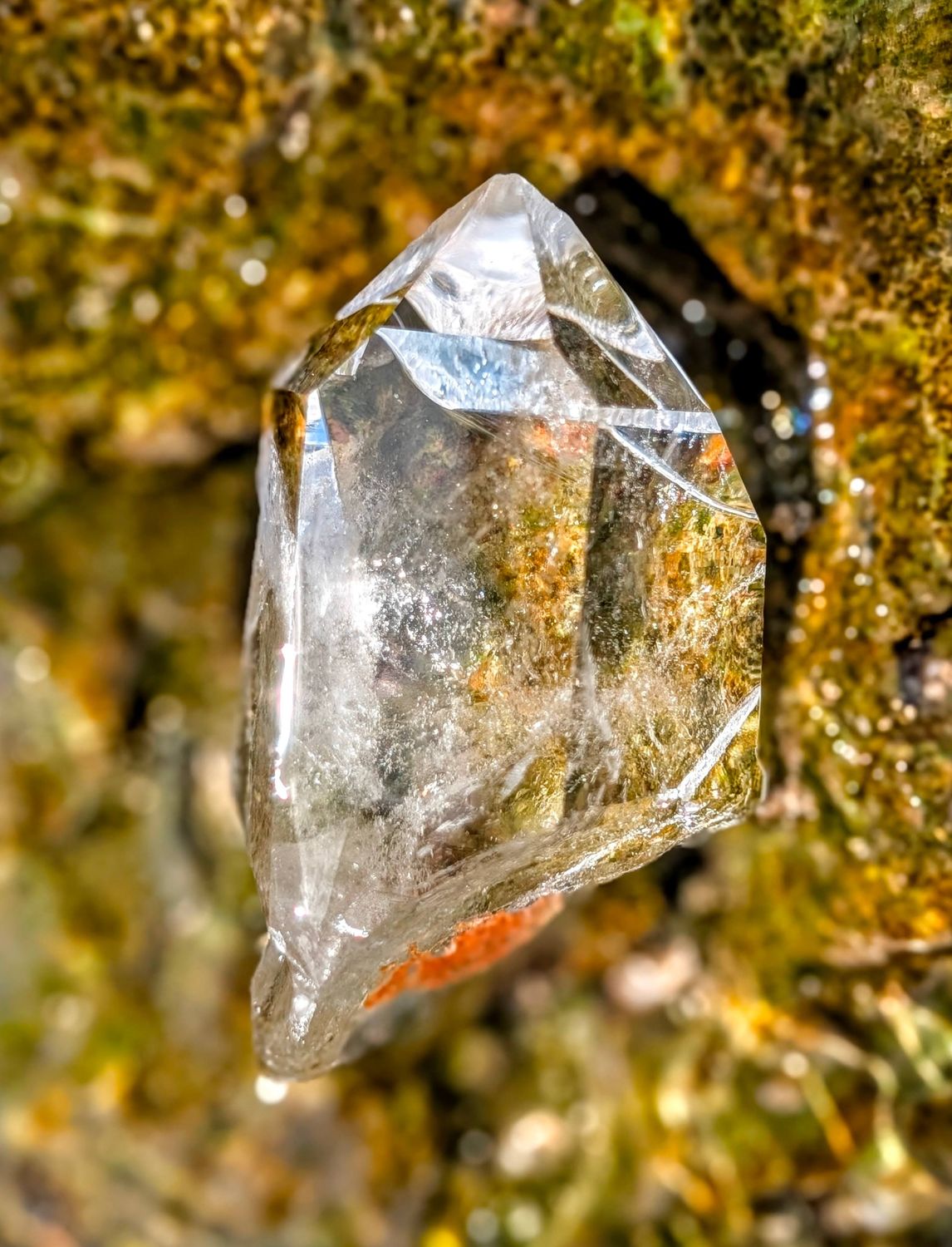 Arkansas Lemurian Seed
