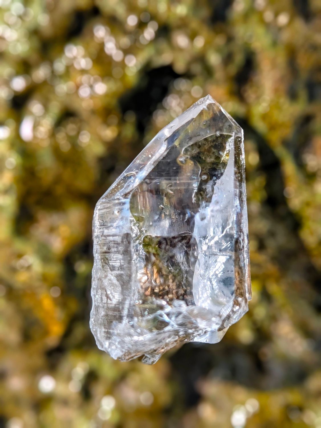 Arkansas Lemurian Seed