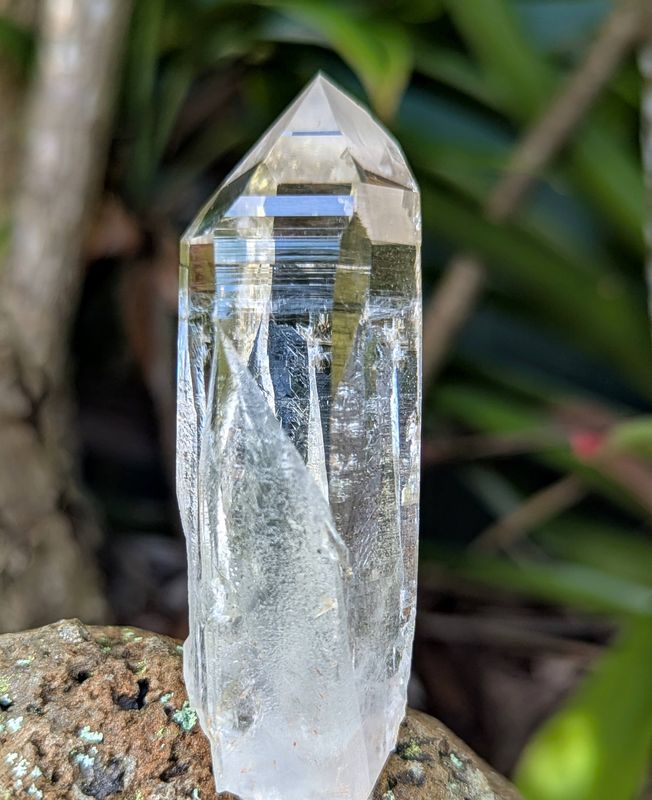 Arkansas Lemurian Seed