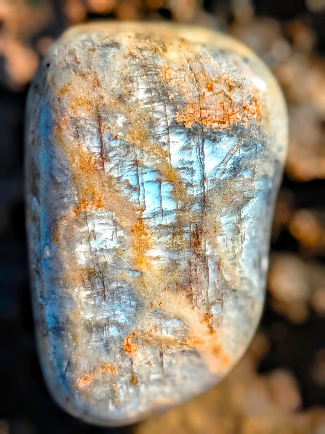 Wisconsin Moonstone SP