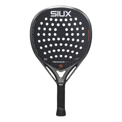 Siux Pegasus Pro 2026 Storm Grey + Protector + Grip