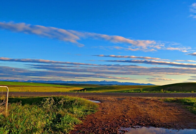 Canvas Print - View from the Farm Gate