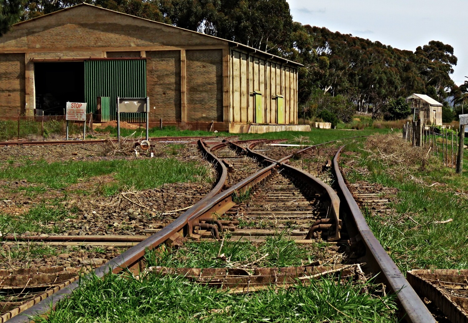 Canvas Print - On the Tracks