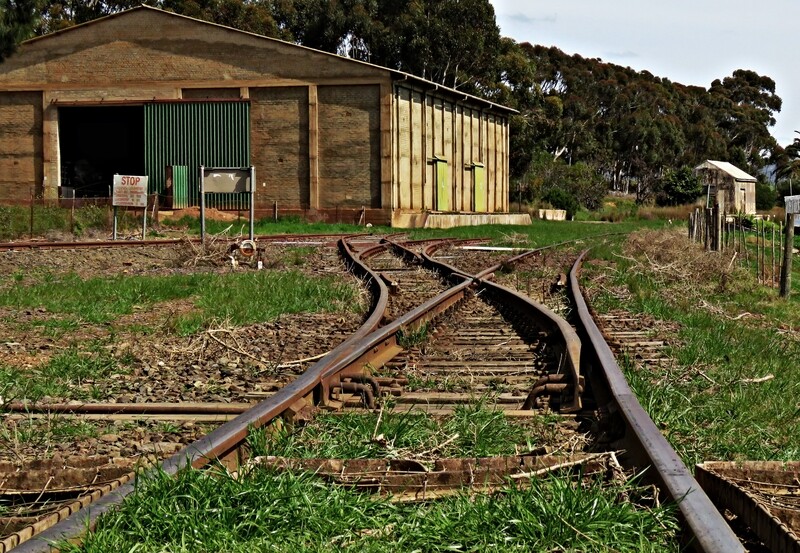 Canvas Print - On the Tracks