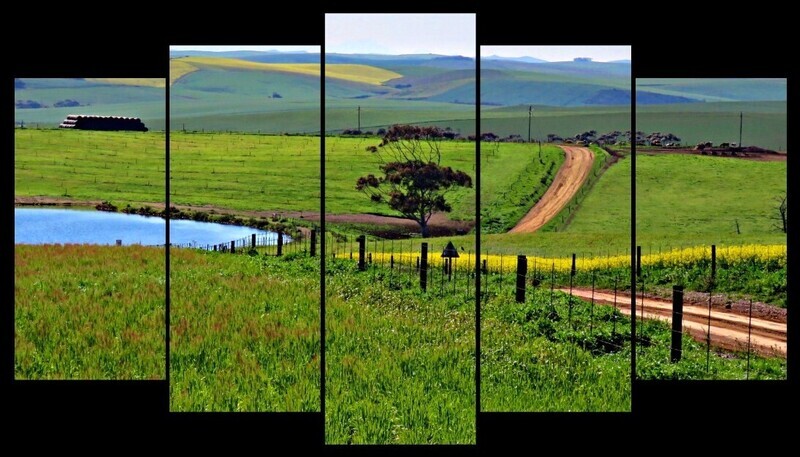 5 Piece Split Canvas Print