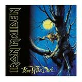 Iron Maiden - Fear Of The Dark 2LP Vinyl Records