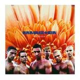 Rammstein - Herzeleid 2LP Vinyl Records